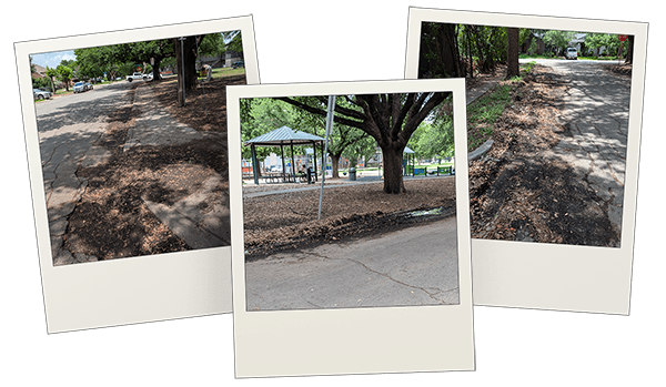 Cherrywood Park Curb Cleanup