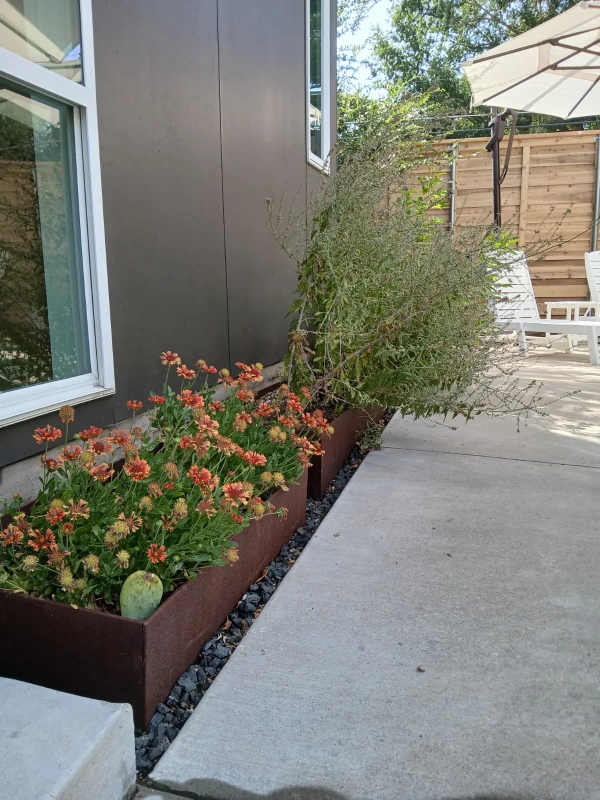 A Love for Native Plants
