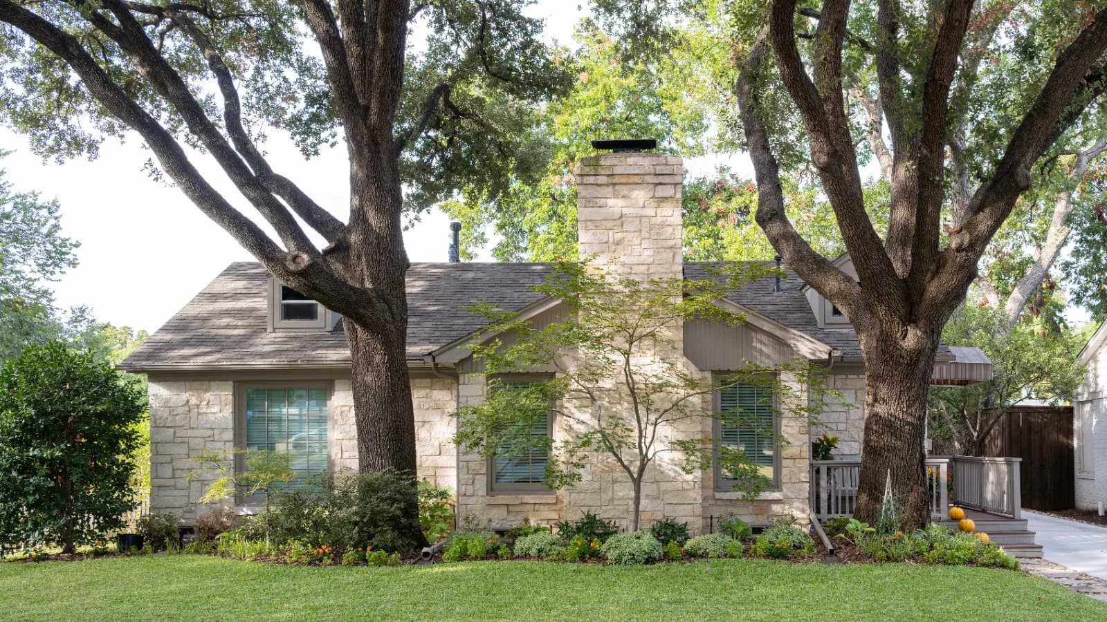Finding the Right Lawn for the Shade