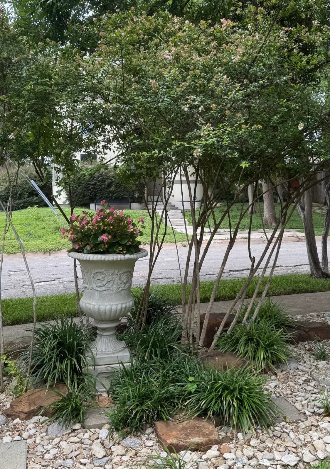 Yard of the Month garden