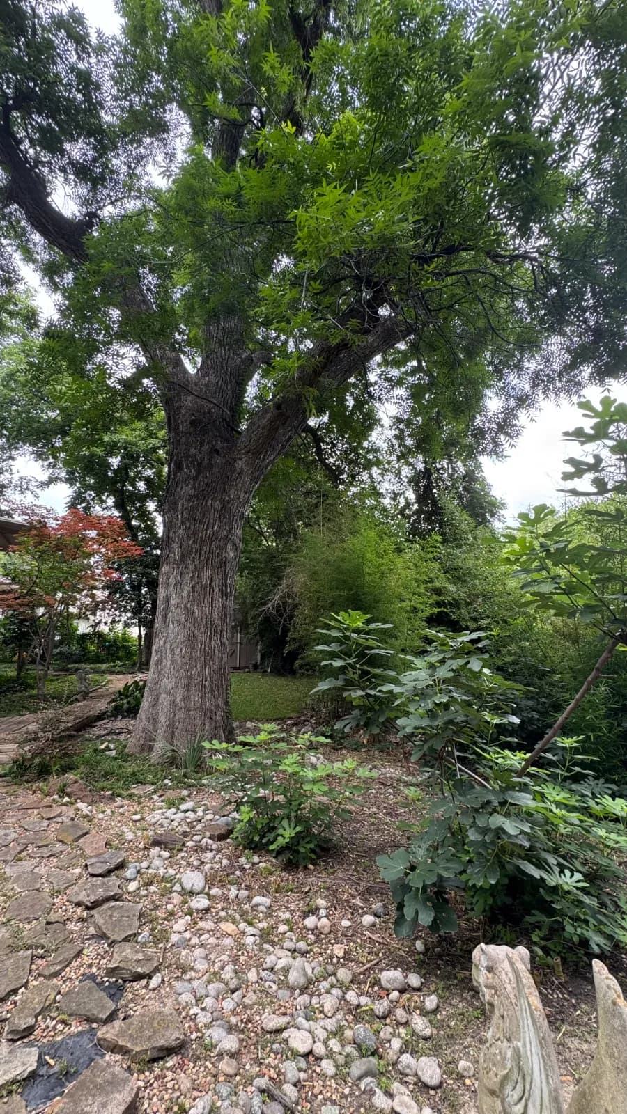 Yard of the Month garden