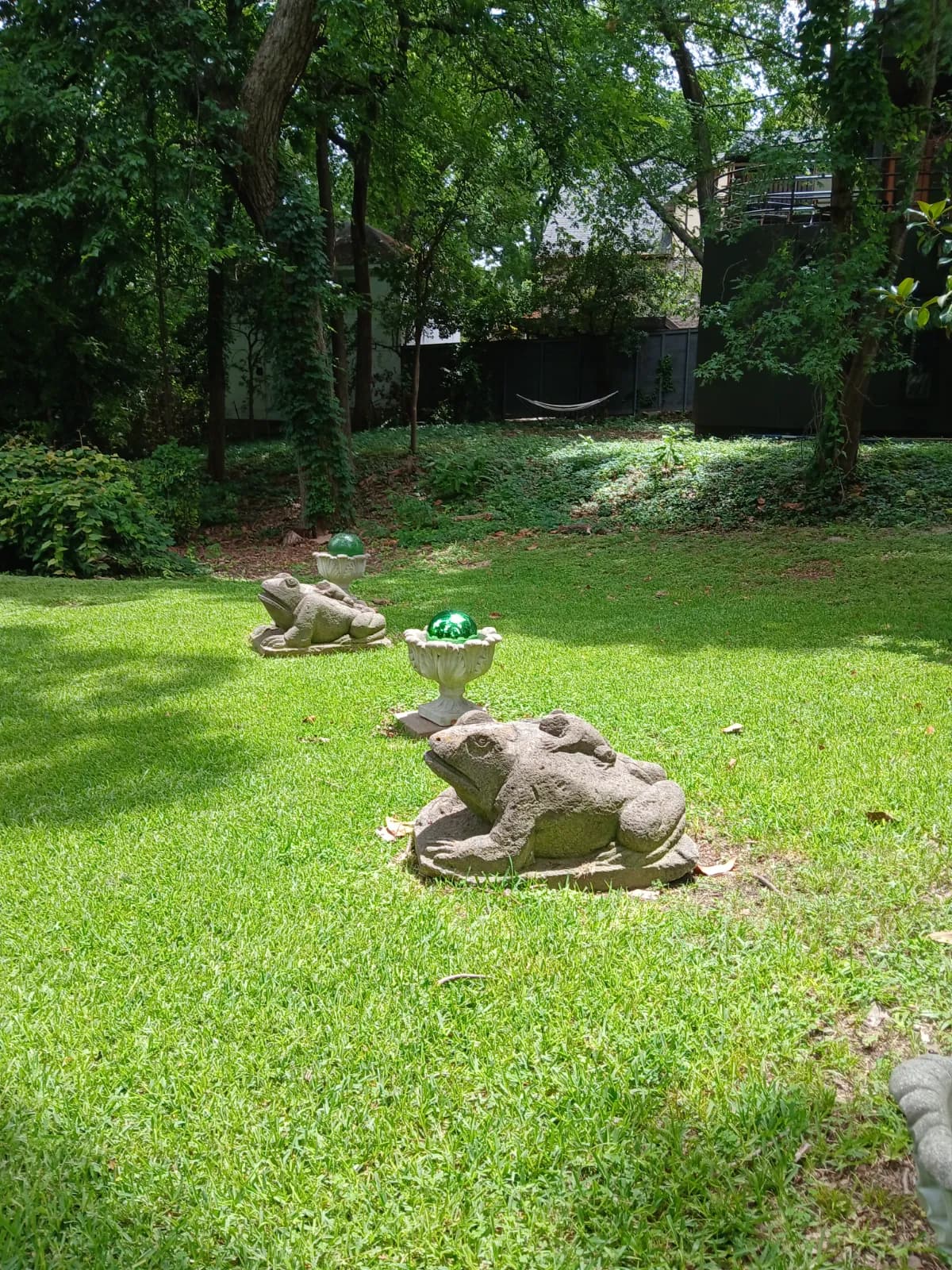 Yard of the Month garden