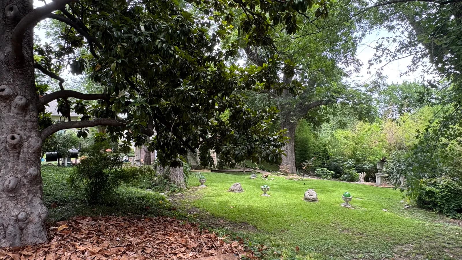 Yard of the Month garden