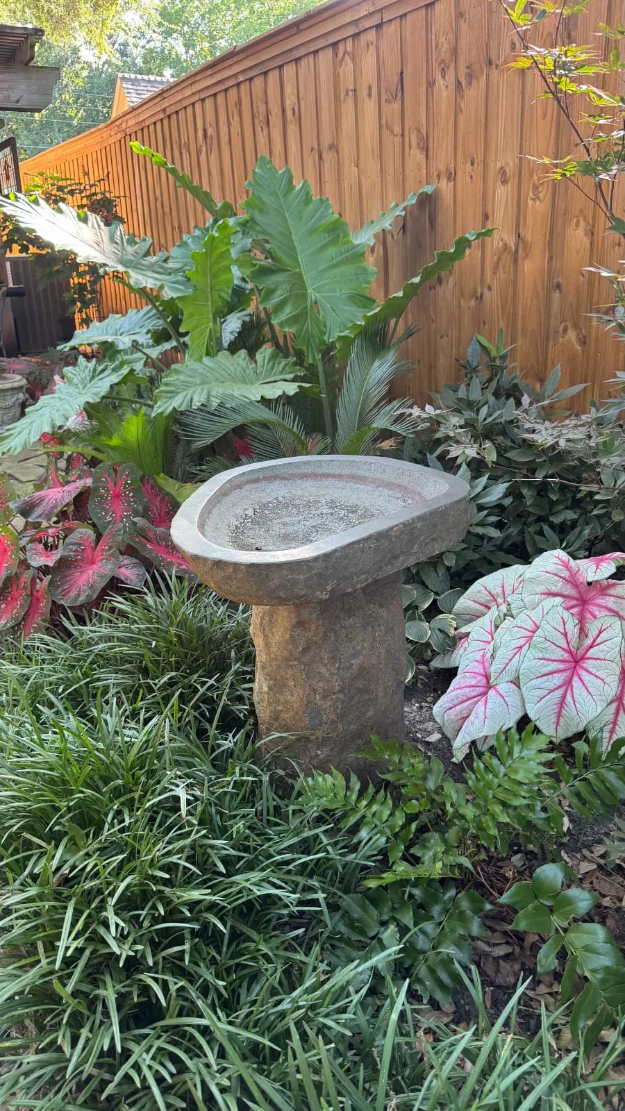 Yard of the Month garden