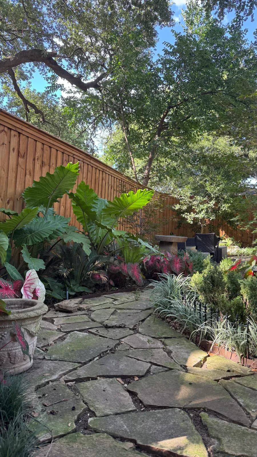 Yard of the Month garden
