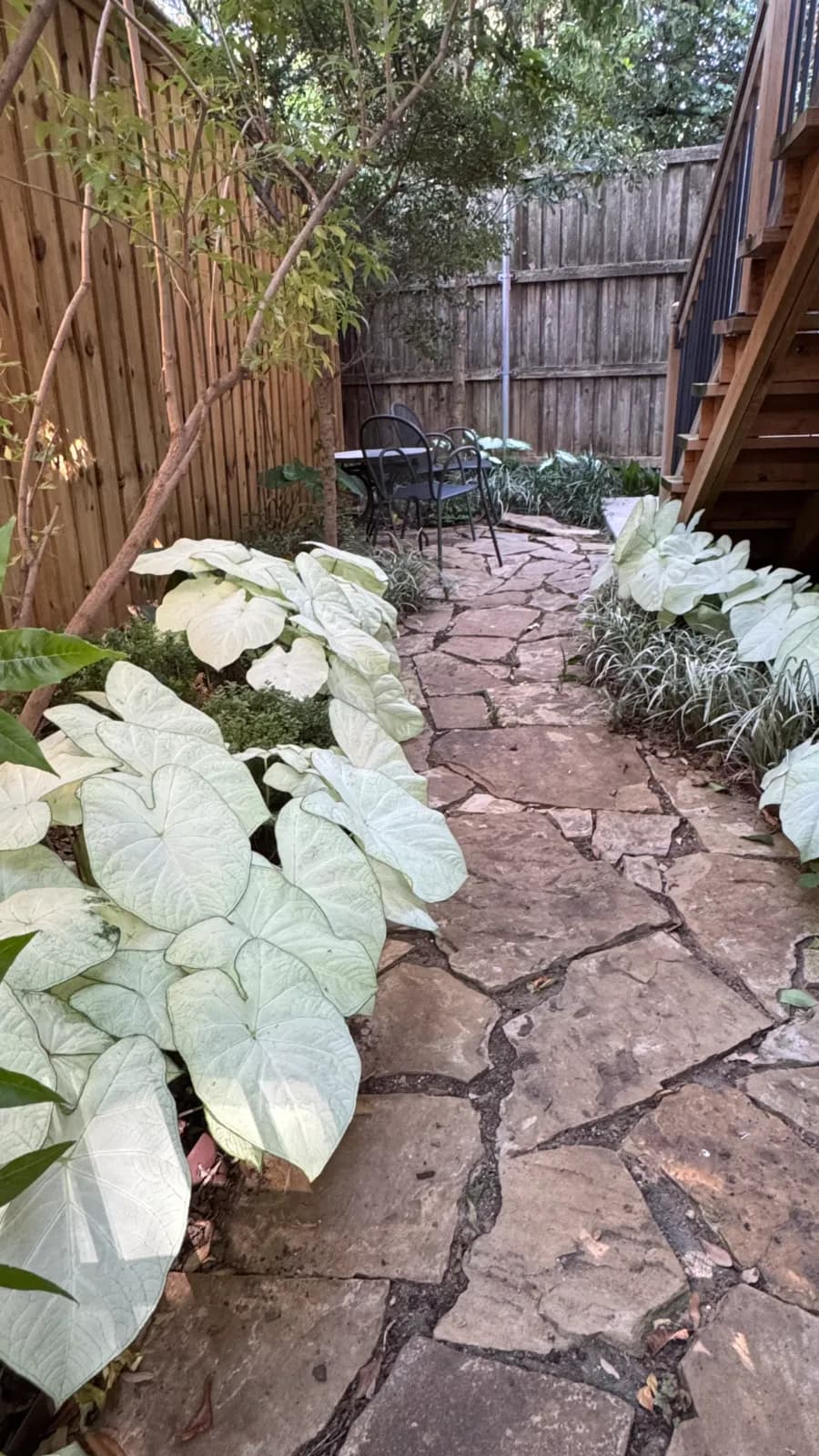 Yard of the Month garden