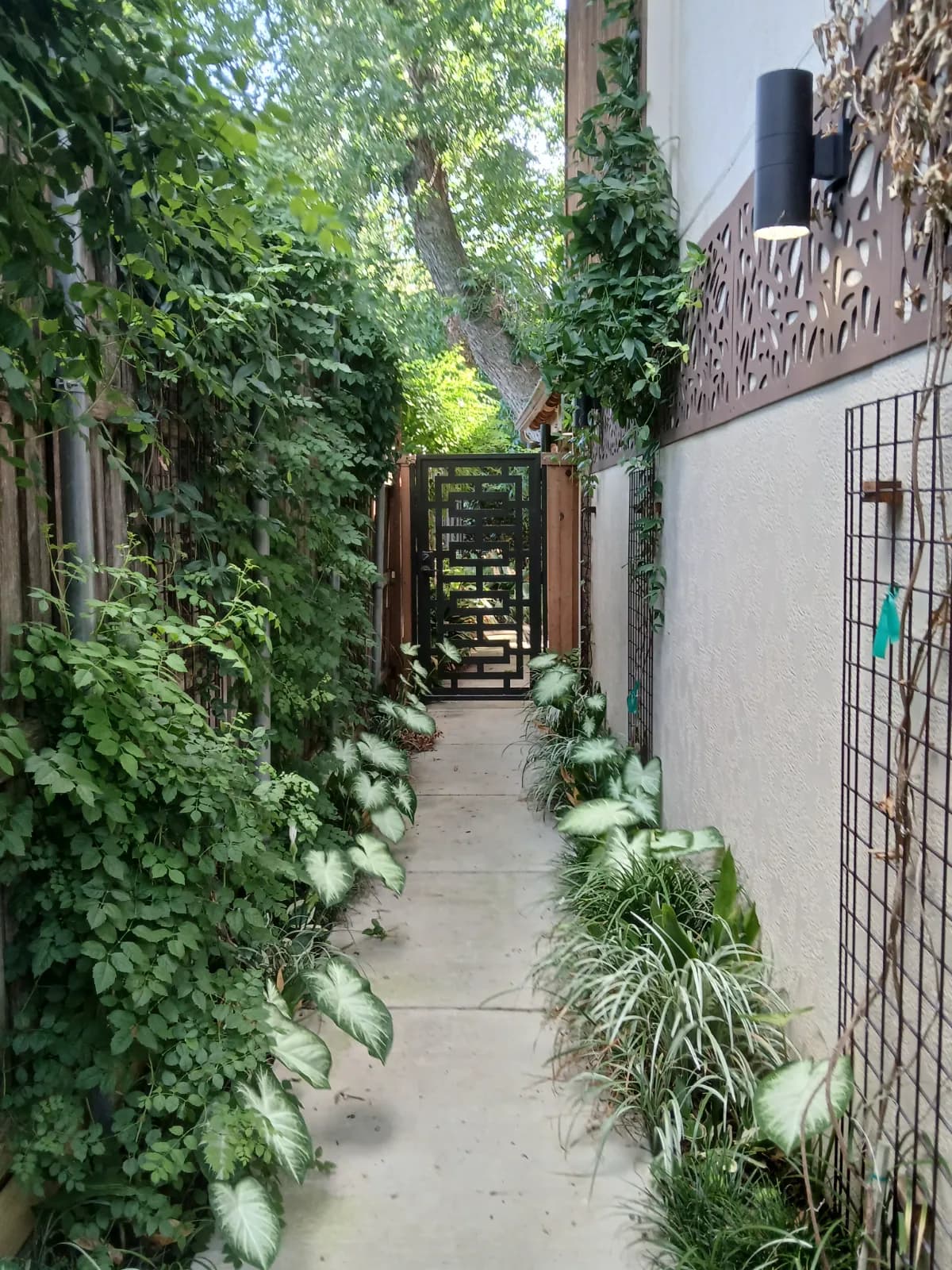 Yard of the Month garden