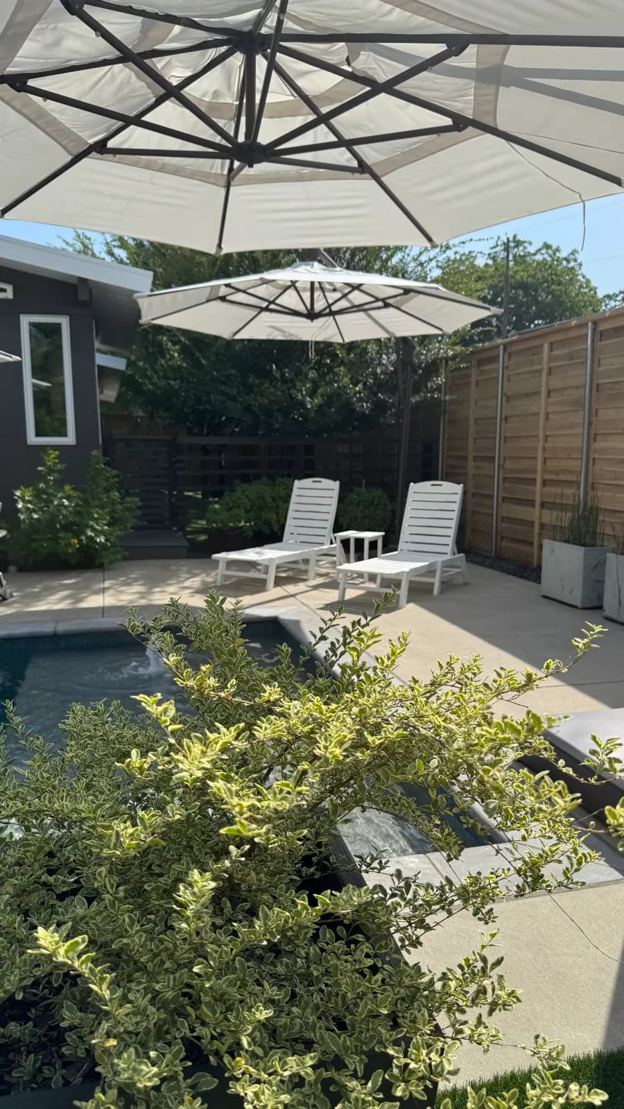 Yard of the Month garden