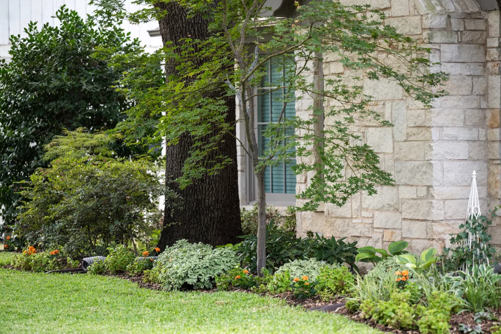 Yard of the Month garden
