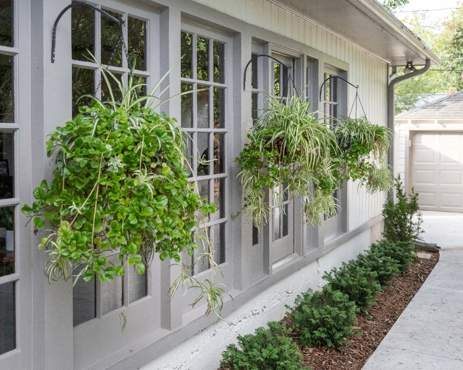 Yard of the Month garden