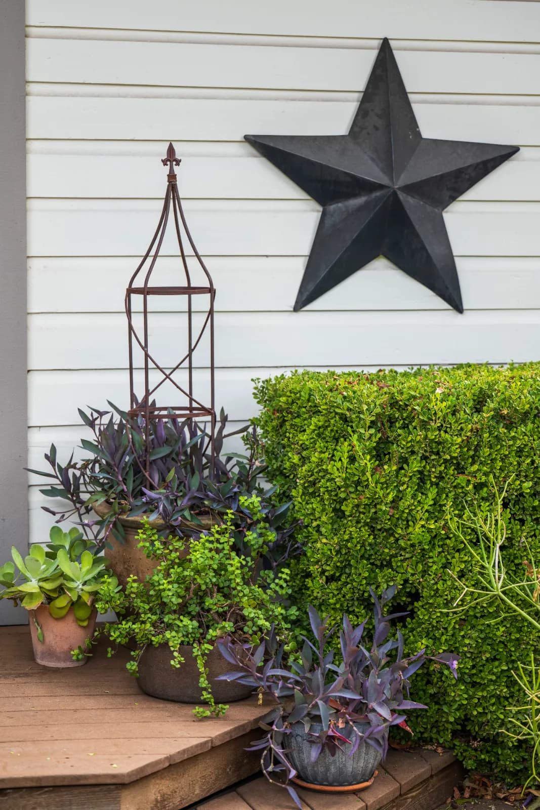 Yard of the Month garden